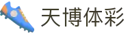 天博体彩(中国区)APP下载